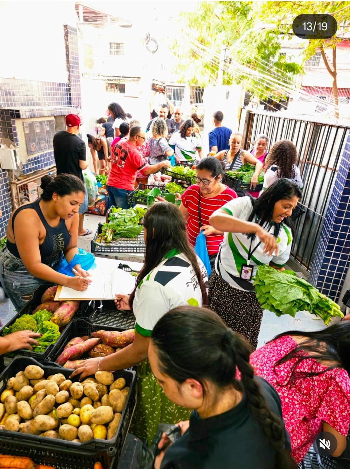 Moradores escolhendo verduras, legumes e frutas durante uma distribuição de alimentos organizada pelo Instituto AMEAS.